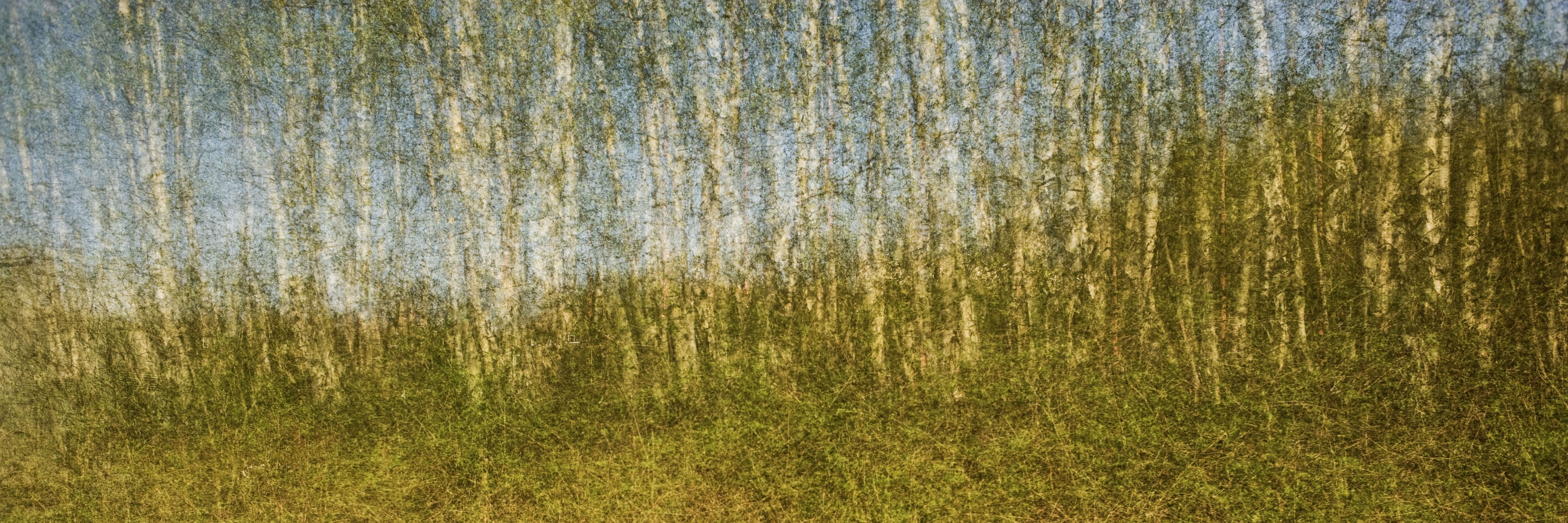 Movementscape 6